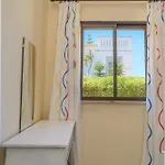 Telo فيلة Luz